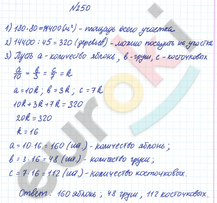 ГДЗ Математика 6 класс Дорофеев 2023 № 250 Часть 2 | Фото решебник
