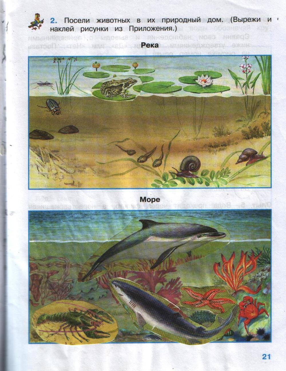 Окружающий мир 3 рабочая тетрадь стр 44. Окружающий мир 3 класс рабочая тетрадь 1 часть Плешаков мир животных. Окружающий мир 3 класс рабочая стр 21. Мир животных окружающий мир 3 класс рабочая тетрадь. Окружающих мир Плешаков 3 класс стр 21.