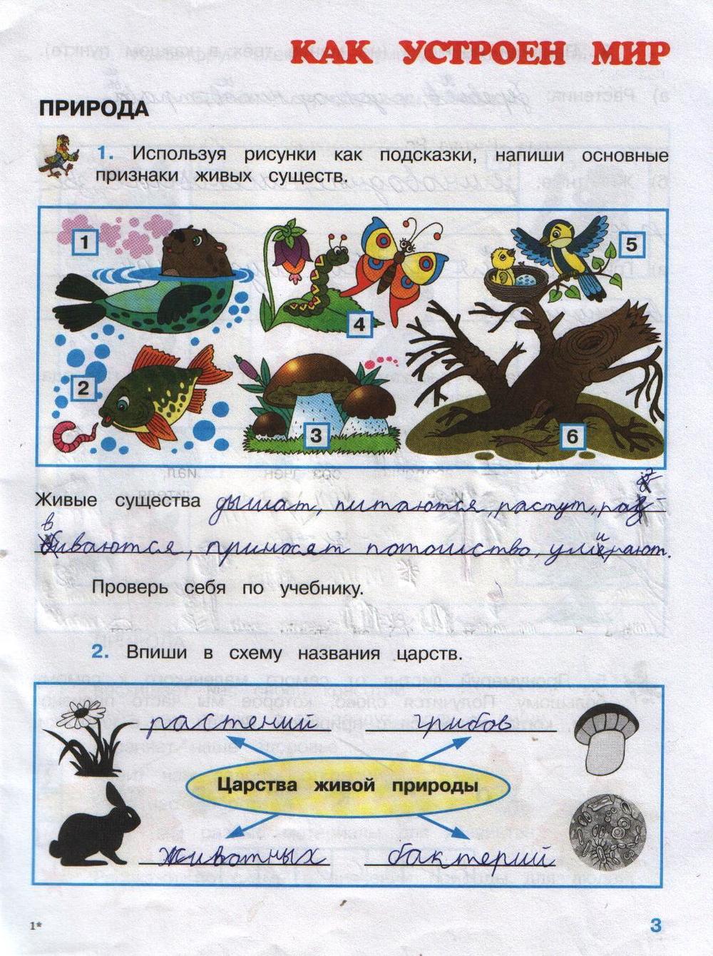 Гдз окружающий мир 3 класс проект Гдз окружающий мир 3 класс проект