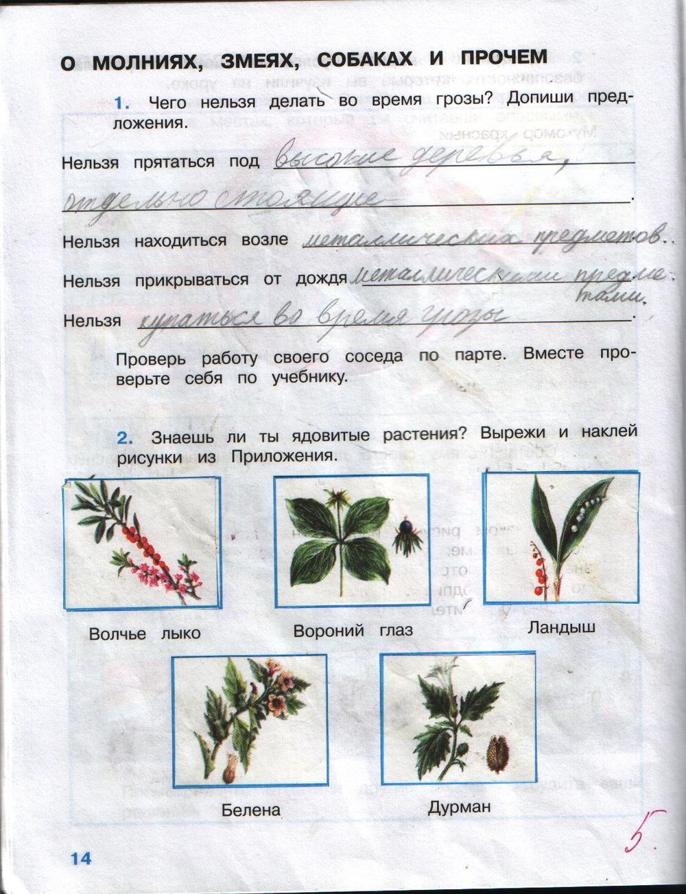 Картинки ЖИВОТНОВОДСТВО ПЛЕШАКОВ 3 КЛАСС ТЕСТ