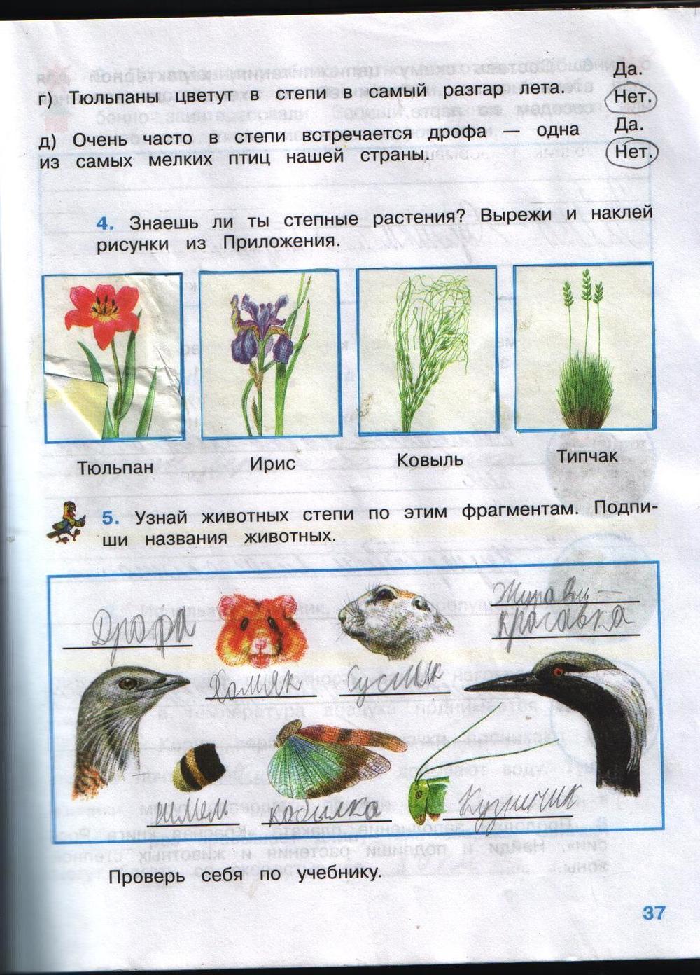 Сделай подписи к рисункам Сделай подписи к рисункам