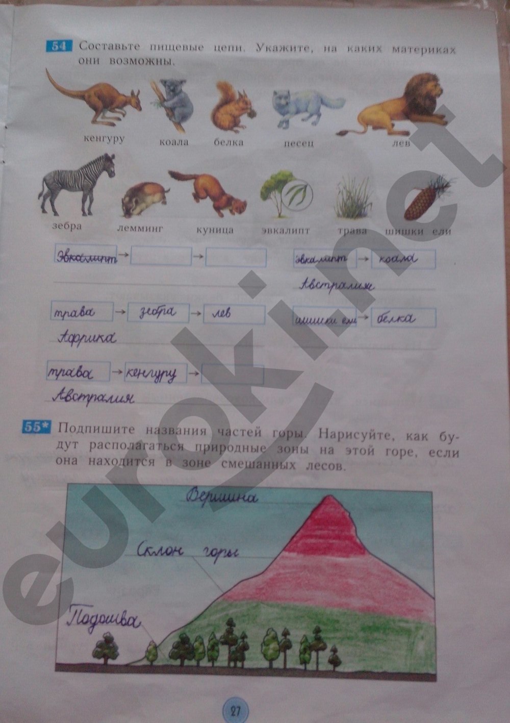 Гдз по окружающему миру 4 класс. Окружающий мир 4 класс рабочая тетрадь стр 4 номер 5. Окружающий мир 3 класс рабочая тетрадь номер 4. Тетрадь по окружающему миру 4 класс.