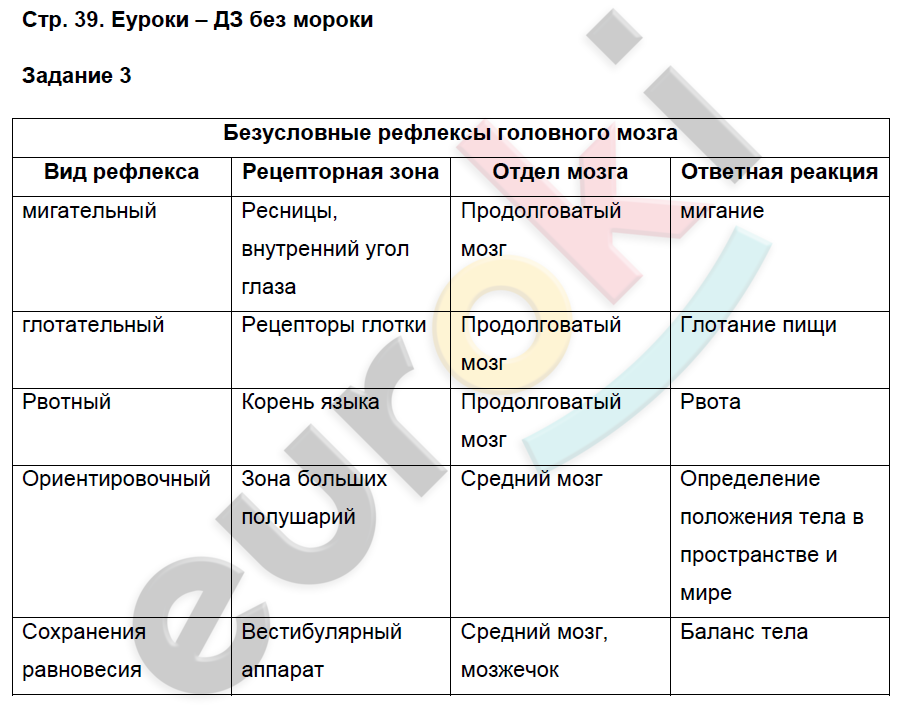 МРТ головы и головного мозга у животных. Подробно о процедуре