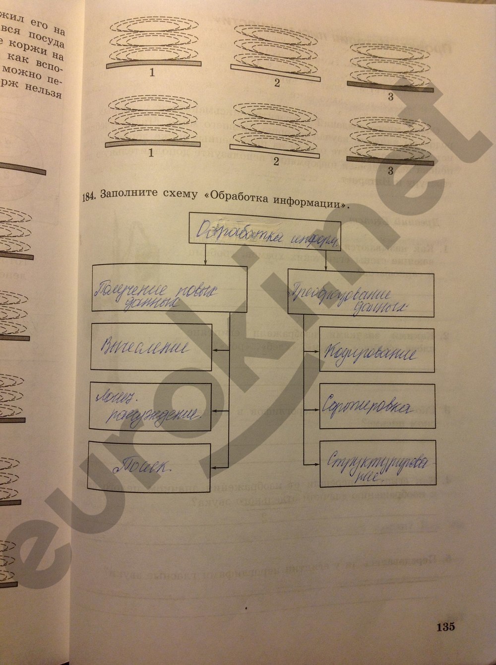 Обобщение изученного в 7 классе информатика заполните схемы