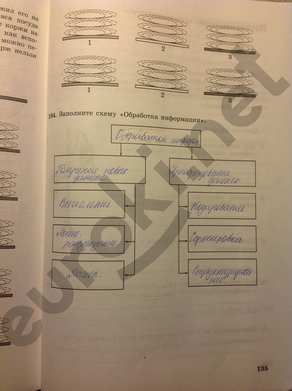 Иллюстрация 6 из 27 для Информатика. 5 класс. Рабочая тетрадь. В 2-х частях. ФГО
