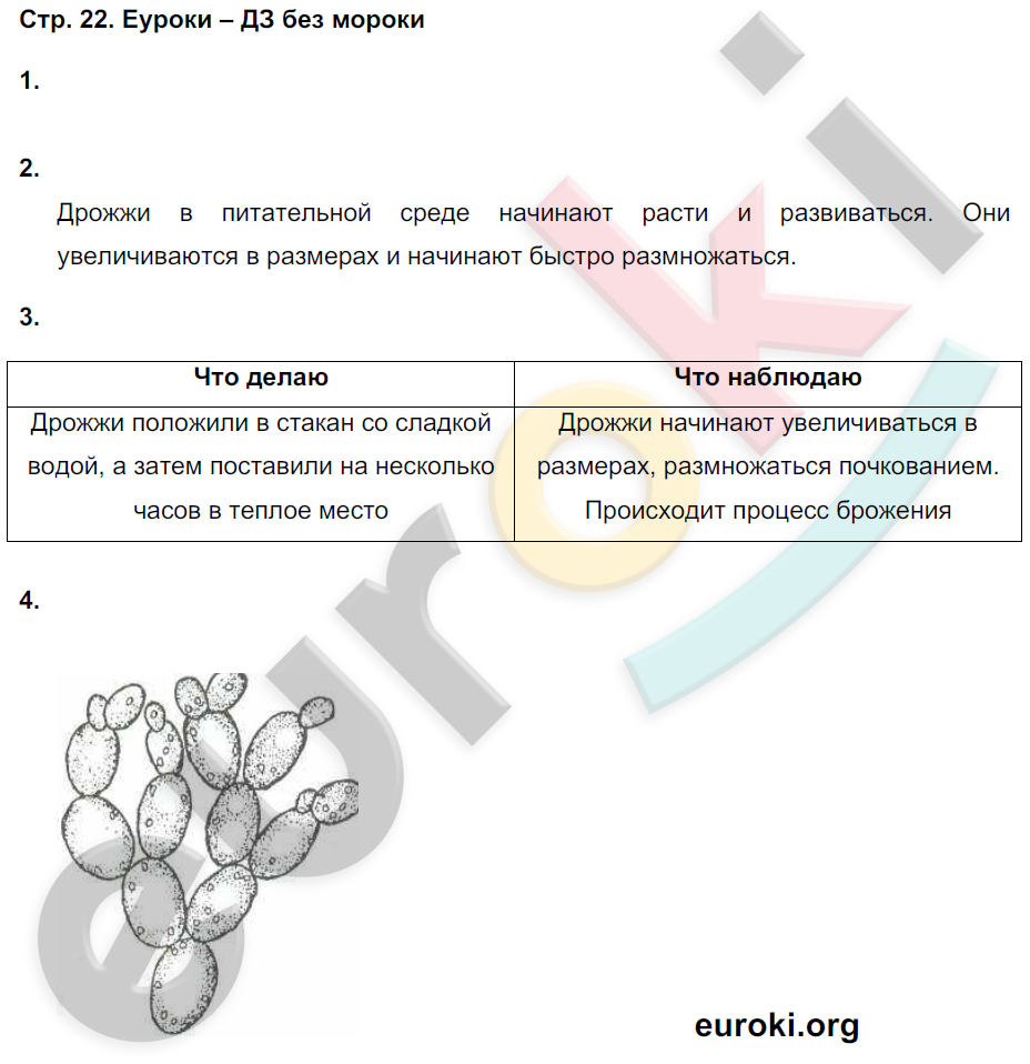 ГДЗ Вопрос № 1 - 5 класс; Биология; Пасечник, Суматохин, Калинина - рабочая тетр