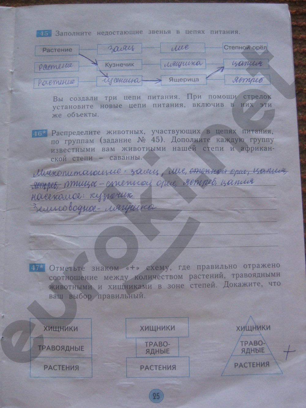проект по окружающему миру 3 класс музей путешествий