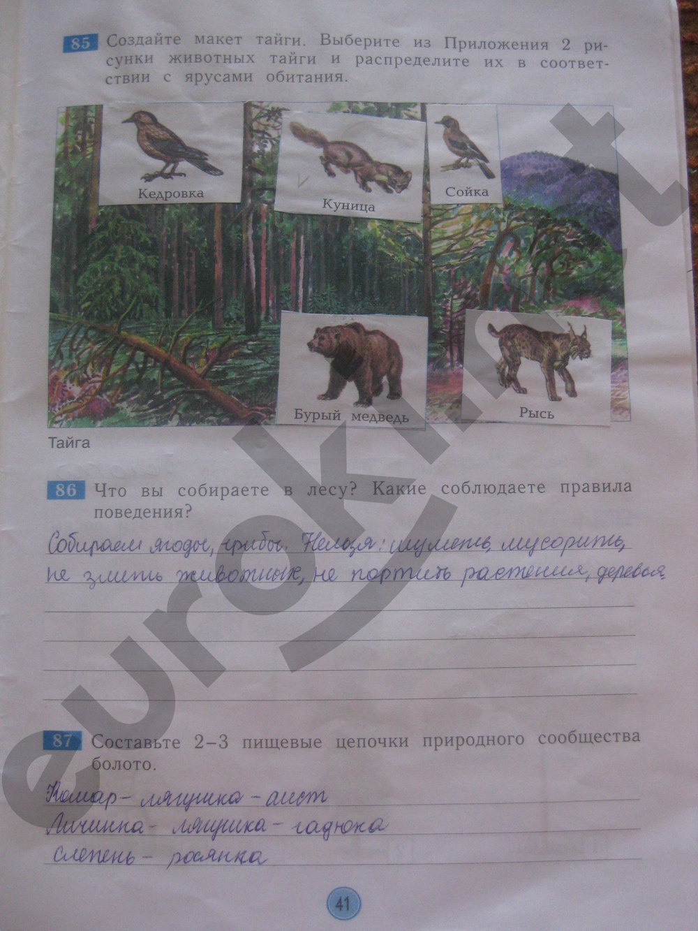 проект по окружающему миру 3 класс музей путешествий