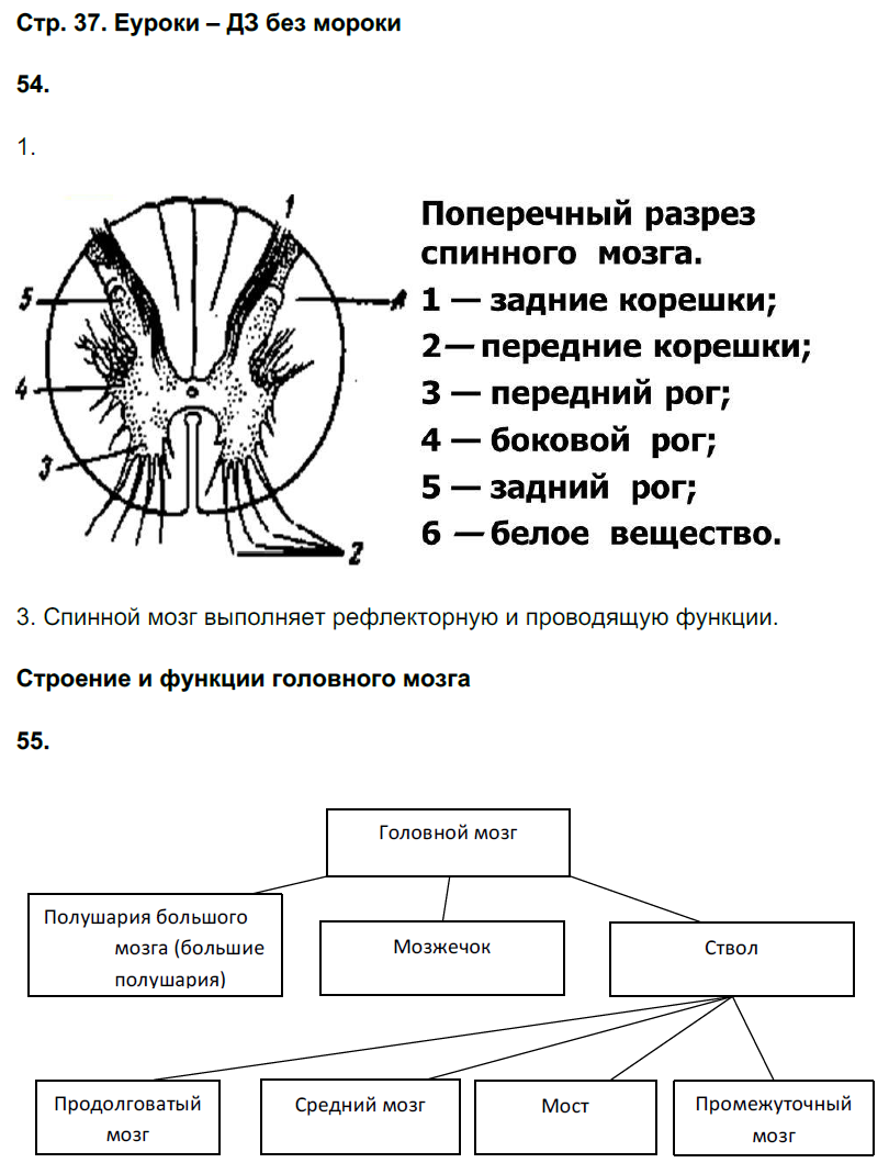 Таблица развитие биологии как науки 10 класс фото - PwCalc.ru