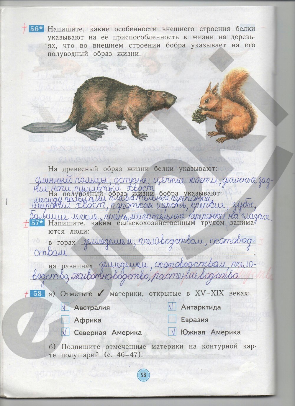 Что такое план сообщения по окружающему миру 4 класс рабочая тетрадь. окружающий мир рабочая тетрадь стр 28. окружающий мир 4 класс рабочая тетрадь 1 часть сообщение о бобрах. окружающий мир 4 класс рабочая тетрадь страница 28. Окружающий мир 4 класс страница 7 8. Что такое план сообщения по окружающему миру 4 класс рабочая тетрадь. окружающий мир рабочая тетрадь стр 28. окружающий мир 4 класс рабочая тетрадь 1 часть сообщение о бобрах. окружающий мир 4 класс рабочая тетрадь страница 28.