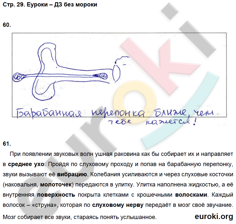 Окружающий мир 4 класс рабочая 2023