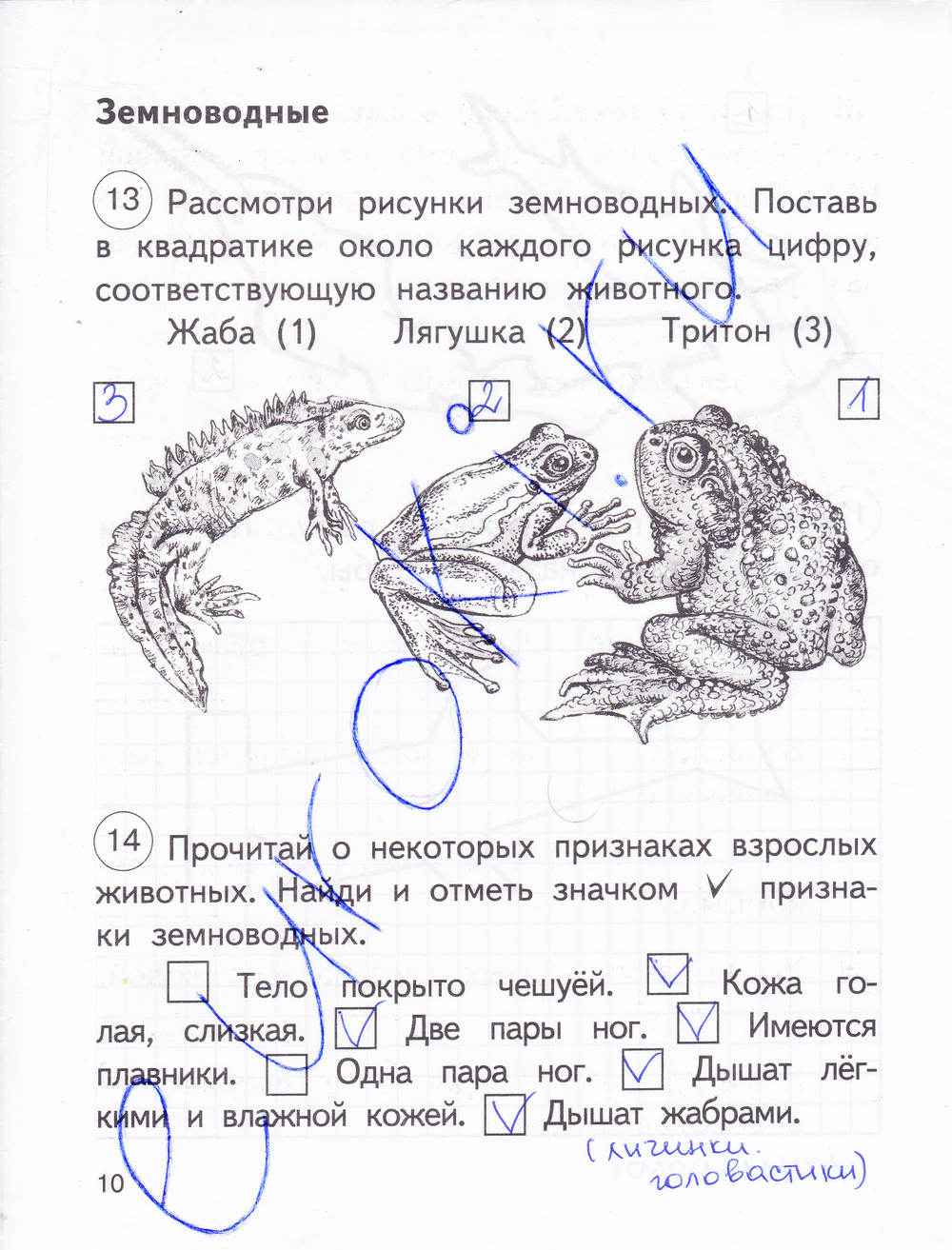 Рассмотрите рисунок и прочитайте вопросы. Окружающий мир 2 класс рабочая тетрадь 2 часть Федотова стр6. Окружающий мир 2 класс рабочая тетрадь 2 часть Федотова ответы. Окружающий мир Федотова рабочая тетрадь 2 кл. Федотова Трафимова окружающий мир 2 класс рабочая тетрадь. Рассмотрите рисунок и прочитайте вопросы. Окружающий мир 2 класс рабочая тетрадь 2 часть Федотова стр6. Окружающий мир 2 класс рабочая тетрадь 2 часть Федотова ответы. Окружающий мир Федотова рабочая тетрадь 2 кл. Федотова Трафимова окружающий мир 2 класс рабочая тетрадь.