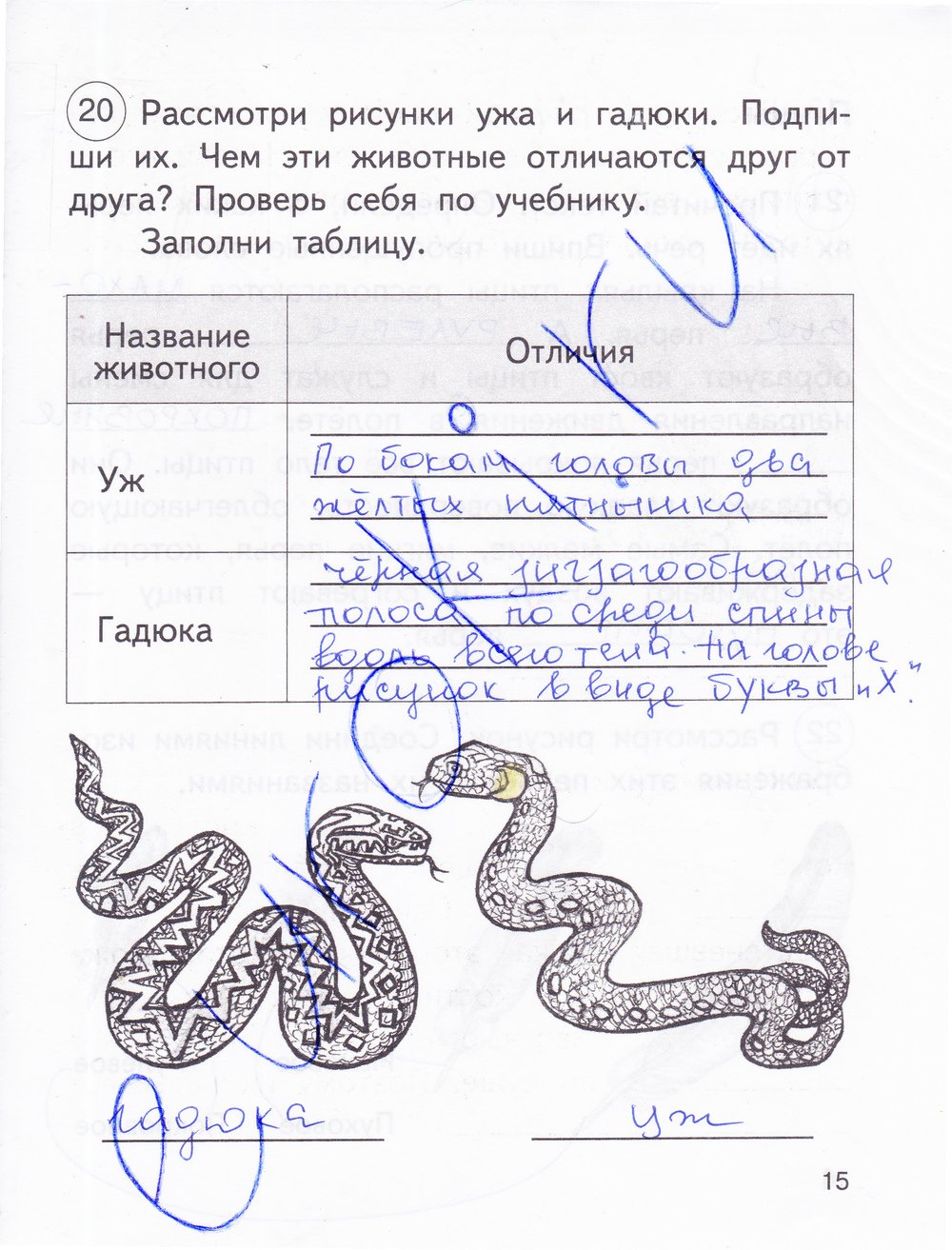 Гадюка окружающий мир 3 класс рабочая тетрадь