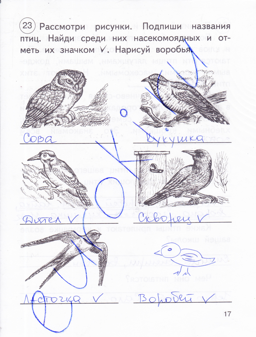 Не рассмотрев рисунок как пишется