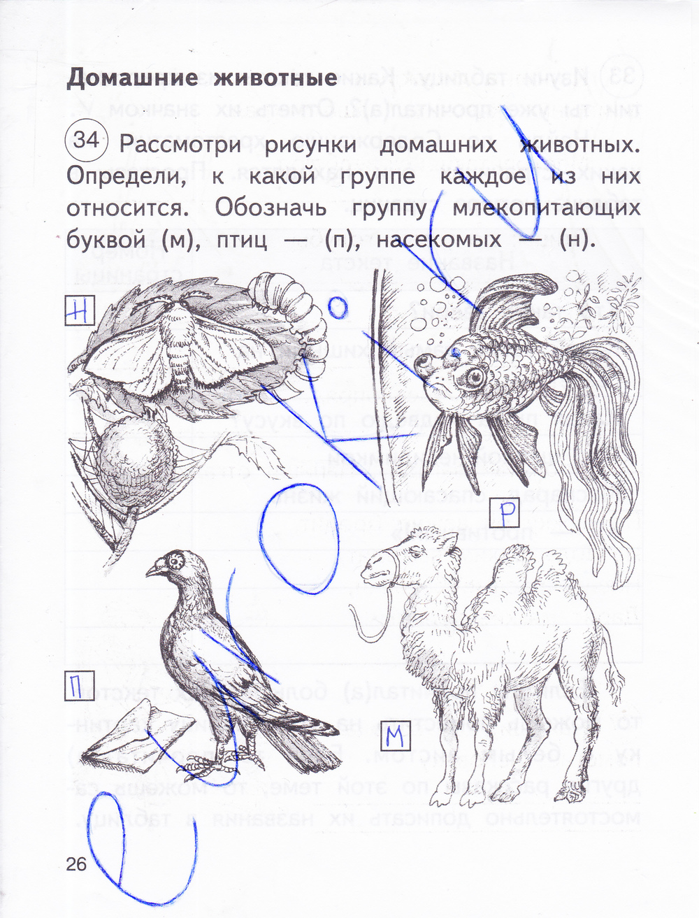 Окружающий мир 2 класс рабочая тетрадь 1 часть Федотова стр 3