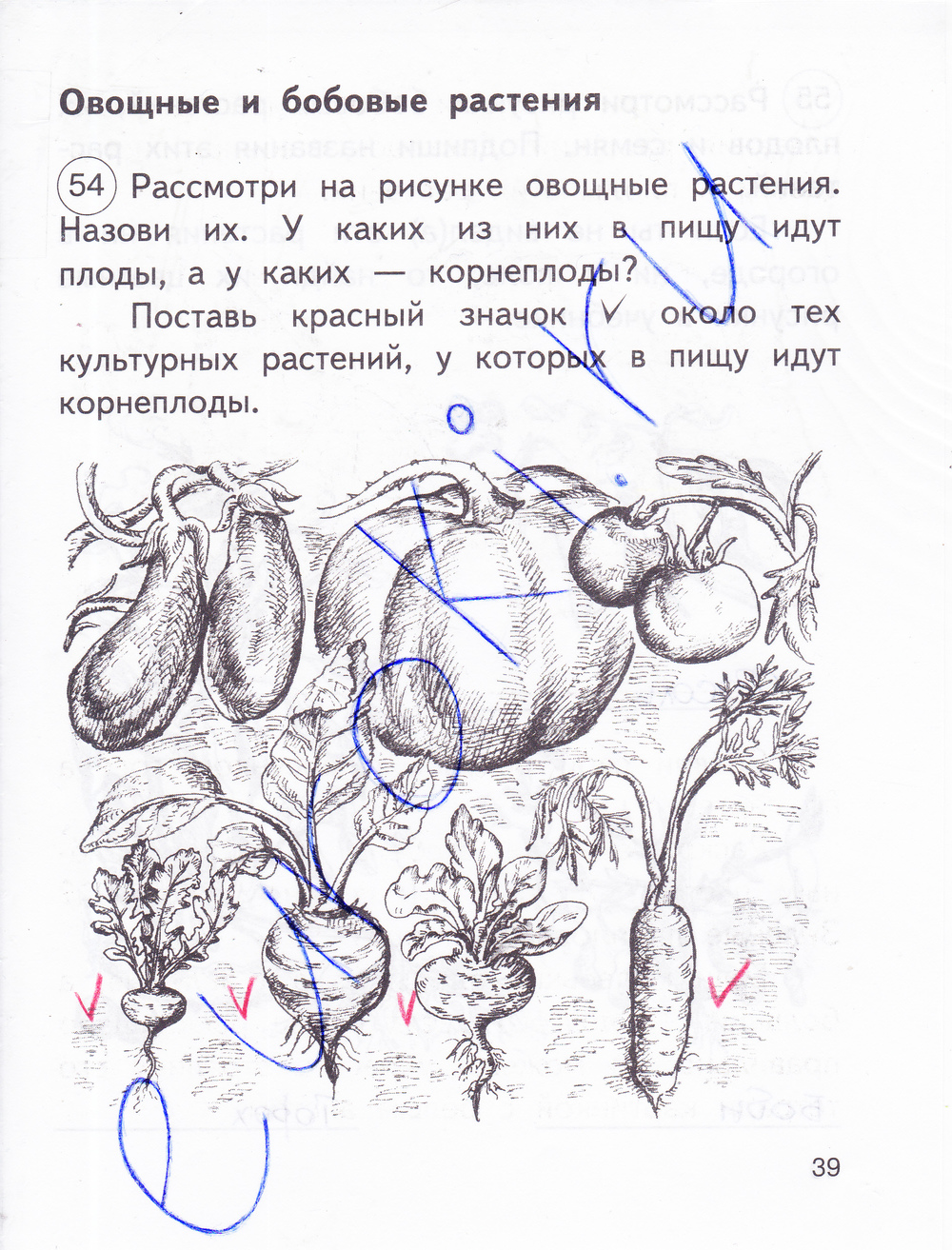 Рассмотрите рисунок ответьте на вопросы и выполните задания