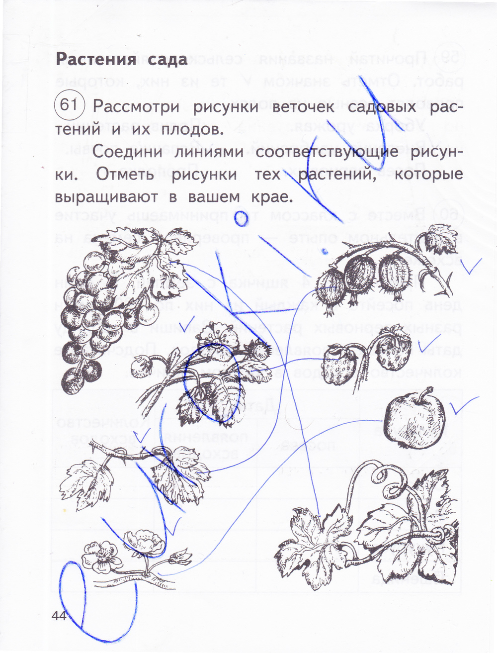 Отметьте на рисунке