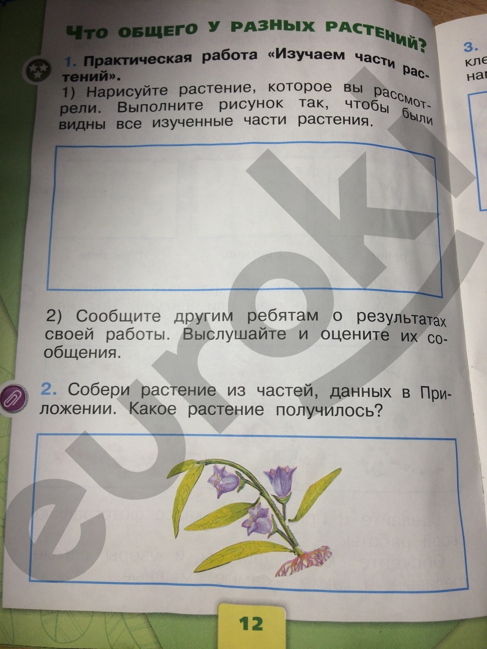 Окружающий мир 2 класс Рабочая тетрадь Часть 2 2022. Рабочая тетрадь Плешаков А.