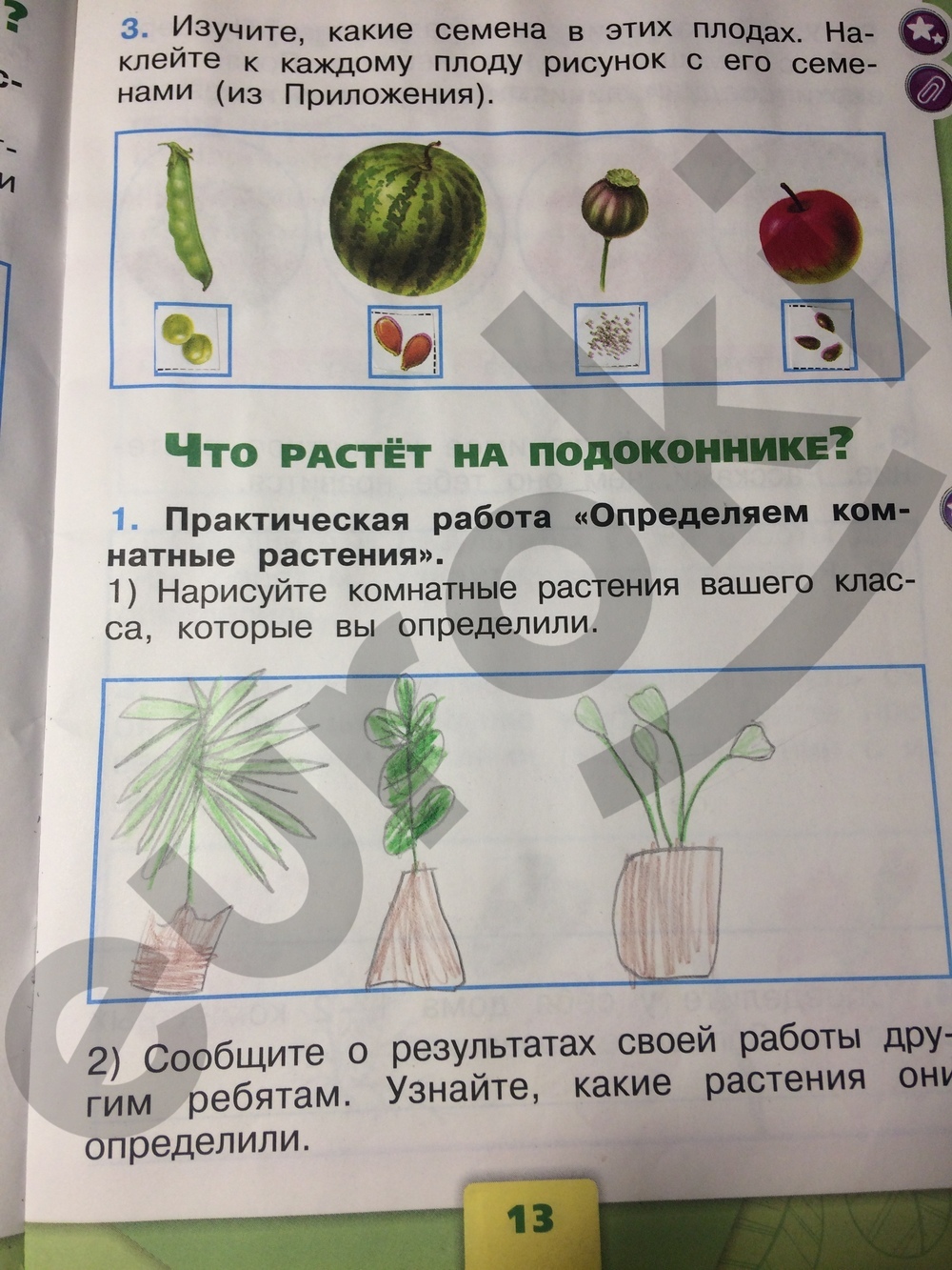 Окружающий мир 1 класс стр 14 учебник