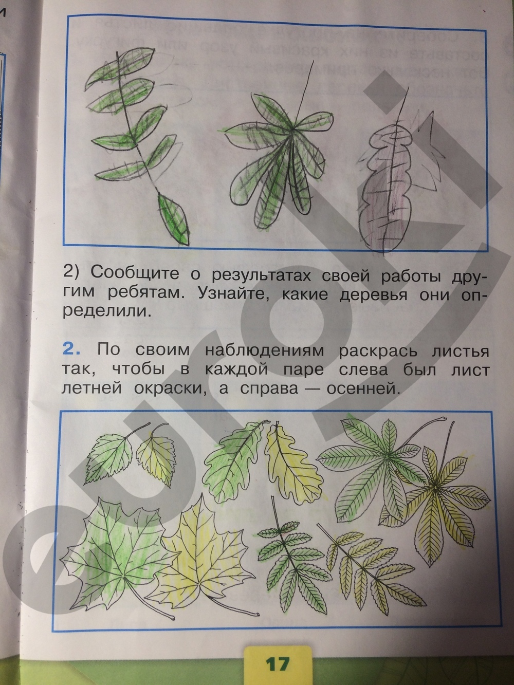 Окружающий мир плешаков стр 11