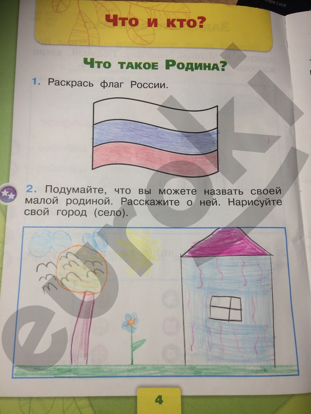 ГДЗ по Окружающему миру 1 класс страница 30 рабочая тетрадь часть 2 Плешаков