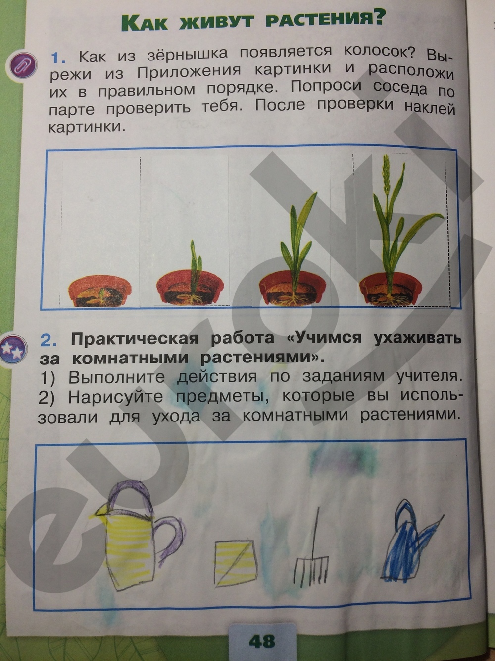 Окружающий мир страница 49 номер 3