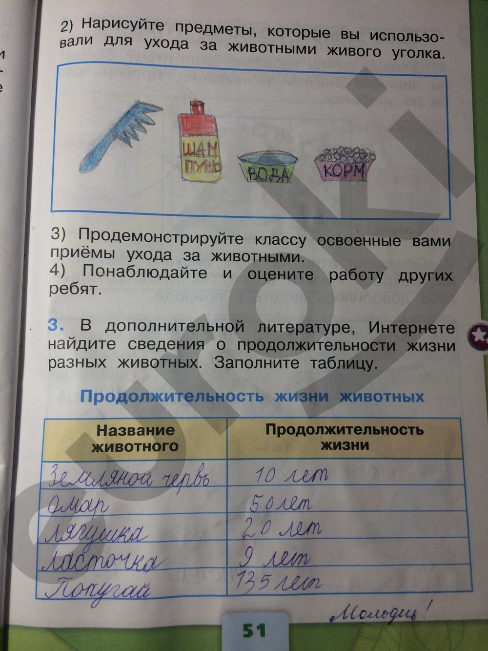 ГДЗ Номер стр. 48 Oкружающий мир 1 класс Плешаков Рабочая тетрадь