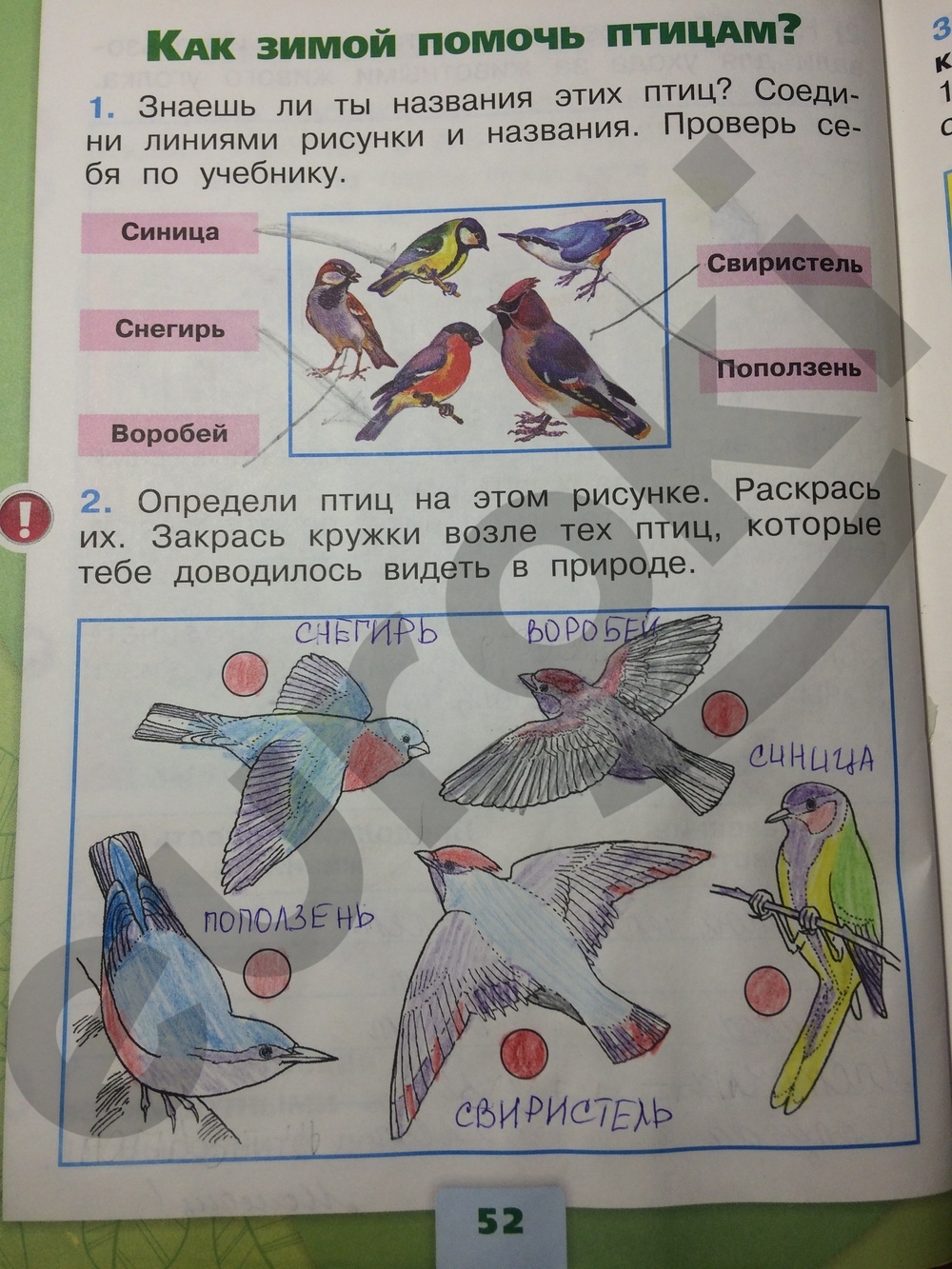 Окружающий мир тетрадь первый класс. Окружающий мир 1 класс рабочая тетрадь ответы Плешаков 1. Окружающий мир 1 класс рабочая тетрадь 1 часть Плешаков ответы стр 52-53. Гдз окружающий мир 1 класс рабочая тетрадь Плешаков. Окружающий мир 1 класс рабочая тетрадь стр 9.