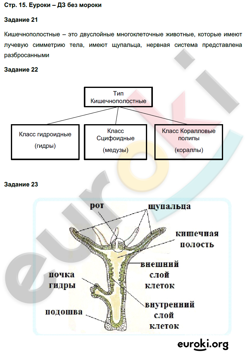 Биология 7 класс рабочая