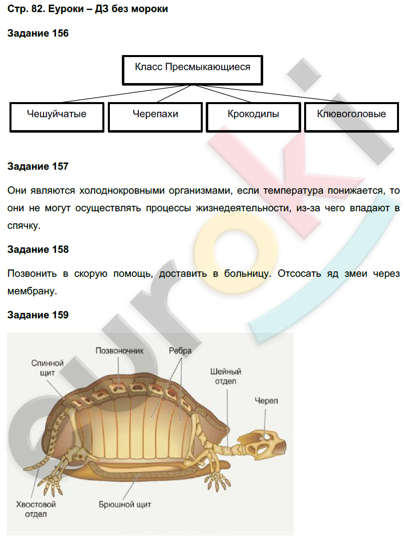 Биология 7 класс ответы на вопросы