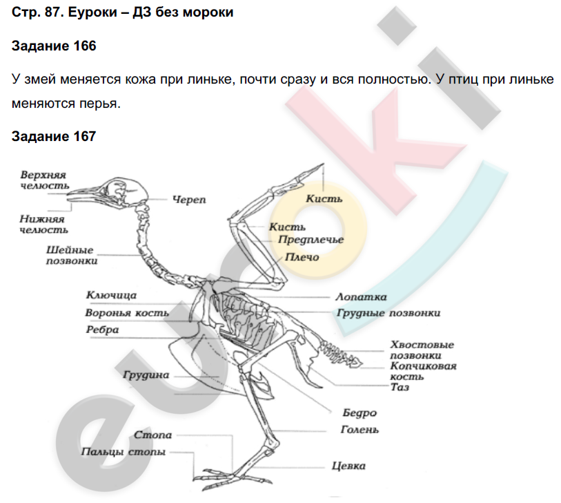 Биология 7 класс страница. Что проходят по биологии в 7 классе. Задания по биологии 7 класс с ответами и решением. Стр 87 по биологии.