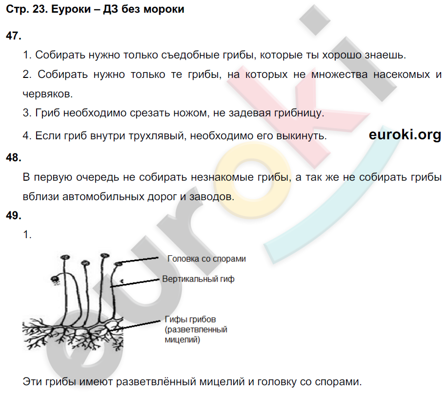 Ответы по фото биология 7 класс Ответы по фото биология 7 класс