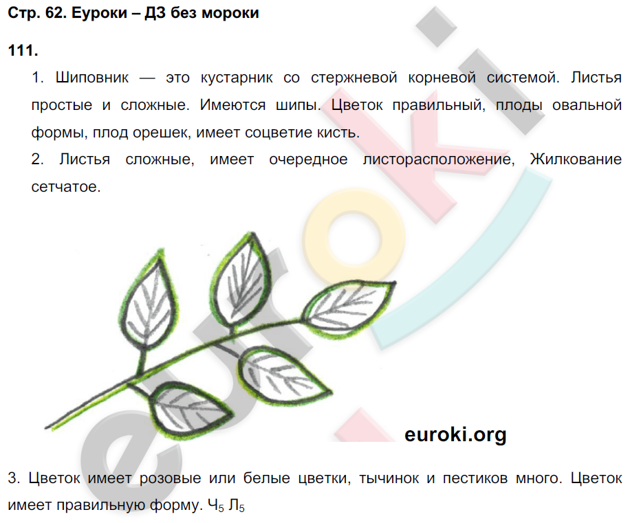Рабочая тетрадь по биологии 7 класс. Многообразие живых организмов, задание номе