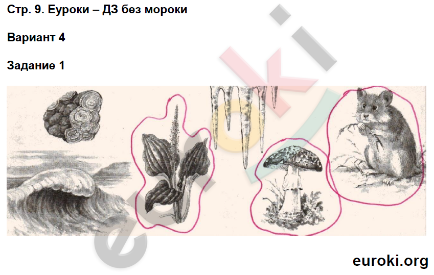 На рисунке изображено явление На рисунке изображено явление