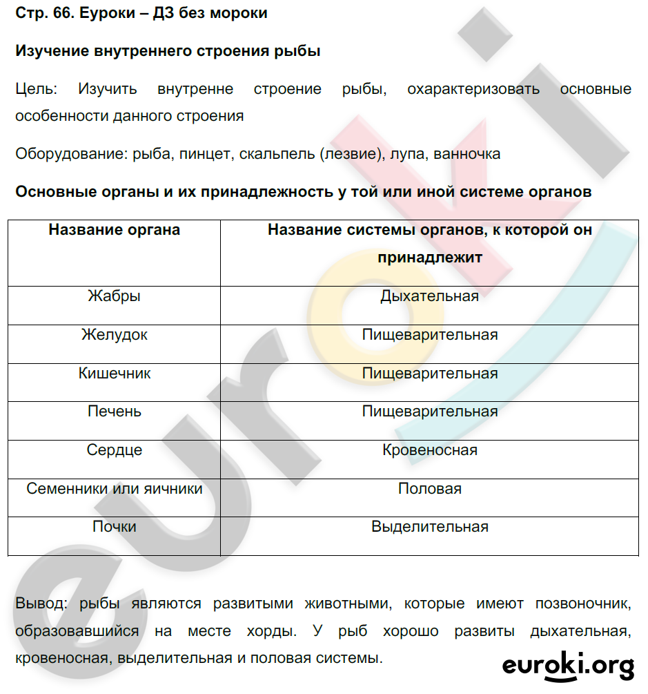 биология 8 класс 8 параграф по тканям таблица 1 колонка ткань 2 строение 3 функц