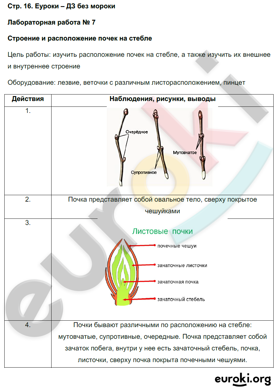 Страницы 67-71 Вопрос № 4 - ГДЗ по биологии за 5 класс к рабочей тетради Пасечни